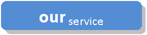 Rounded Rectangle: our service